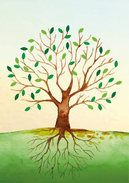 L'arbre de l'école